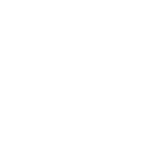 WHITE-logo SALT 2022